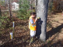 Utility mapping in wooded area using GPS for GIS field data collection.
