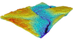 GIS vegetation surface model from LiDAR data showing elevation and canopy density.