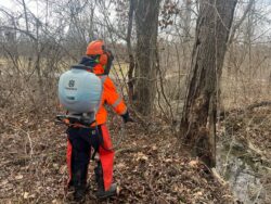 EnviroScience field technician applying targeted herbicide treatment to invasive vegetation along a riparian corridor using a Husqvarna backpack sprayer.