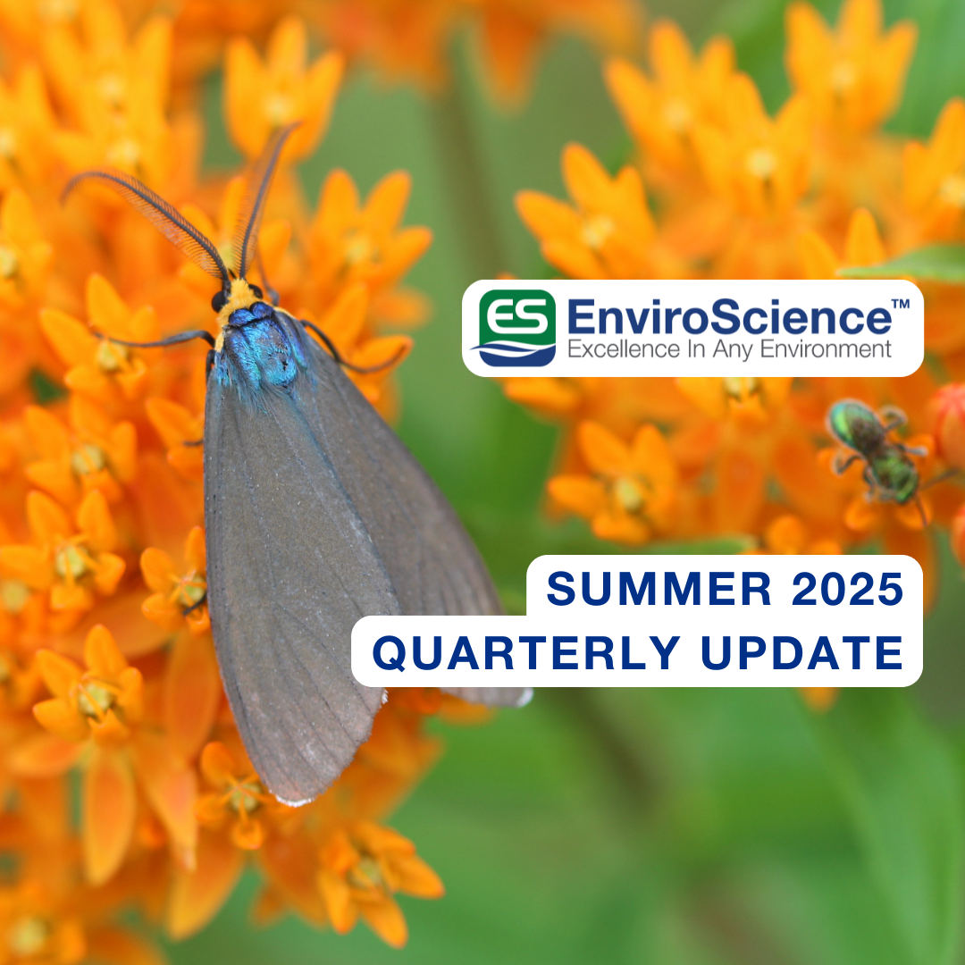 EnviroScience Summer 2025 Quarterly Update