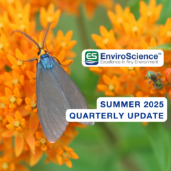 EnviroScience Summer 2025 Quarterly Update