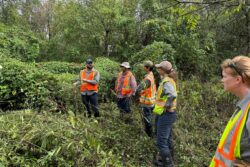 EnviroScience vegetation management crew conducting a field briefing during invasive vegetation assessment at a heavily overgrown site.