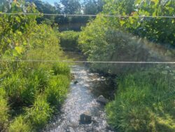 Restoring Rush Run: A Success Story in Stream Stabilization and Habitat Renewal