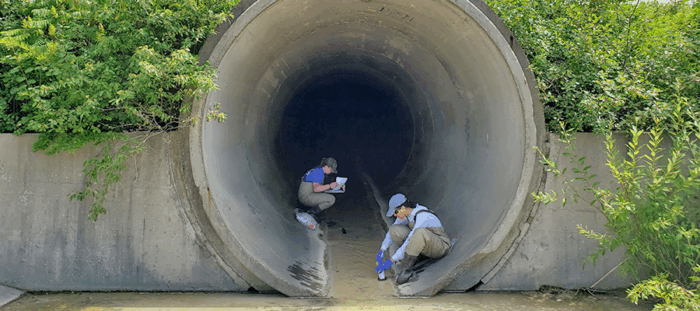 Environmental scientists collect water samples and document conditions inside a large concrete stormwater outfall, illustrating NPDES compliance monitoring and pollutant discharge assessment under the Clean Water Act.