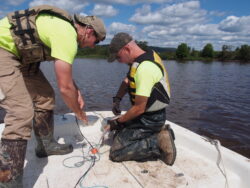 Jeff Niehaus and a colleague handle a fish sample on a boat while conducting aquatic field research.
