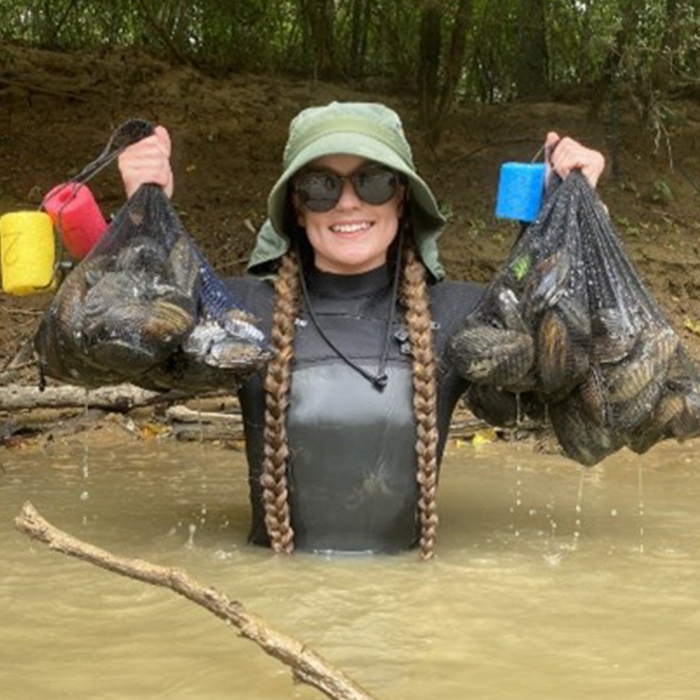 Environmental scientist standing in a stream holding mesh bags filled with freshwater mussels during a field survey.