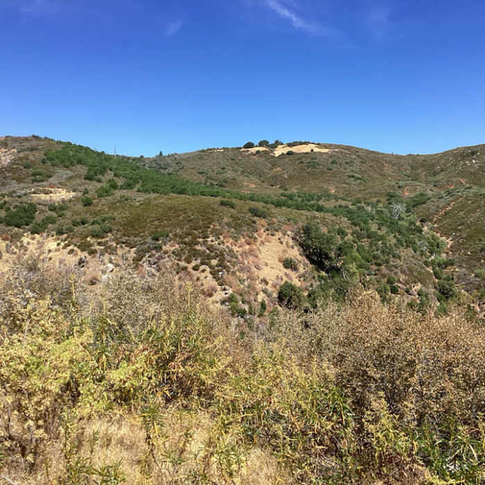 GIS analysis identifies environmental risk hotspots in rugged terrain to improve utility planning and reduce environmental impacts.