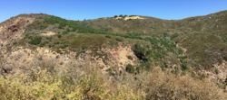 GIS analysis identifies environmental risk hotspots in rugged terrain to improve utility planning and reduce environmental impacts.