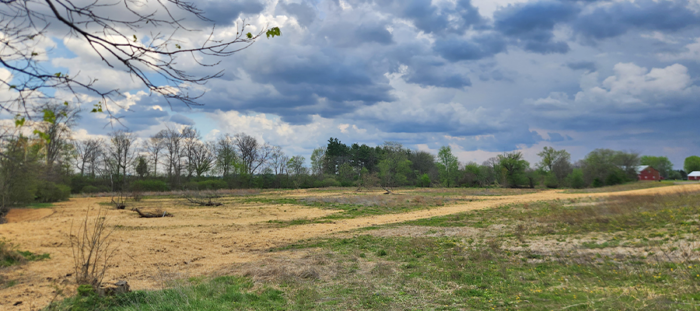 Wetland and floodplain restoration at Schlievert Farms along Toussaint Creek in Ohio.