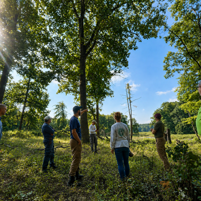 EnviroScience volunteers supporting habitat restoration at Singer Lake Bog
